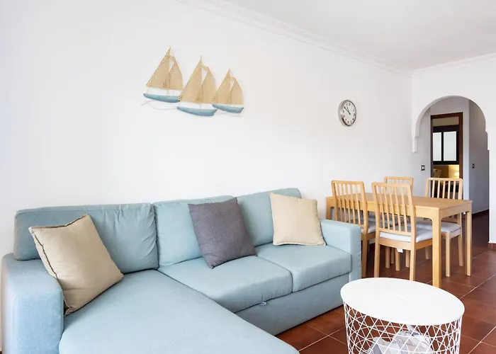 Buho Cristianos Los Cristianos (Tenerife)