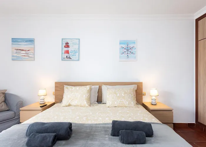 Buho Cristianos Los Cristianos (Tenerife)