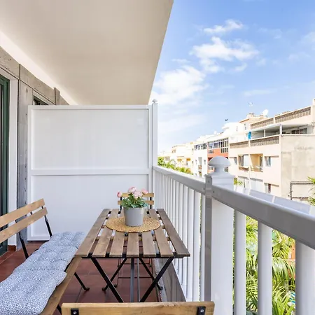 Buho Cristianos Los Cristianos