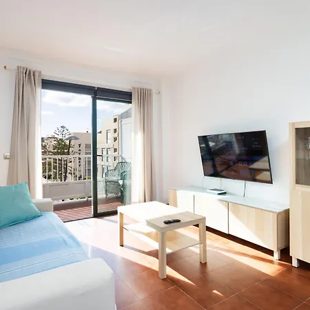 Buho Cristianos Los Cristianos