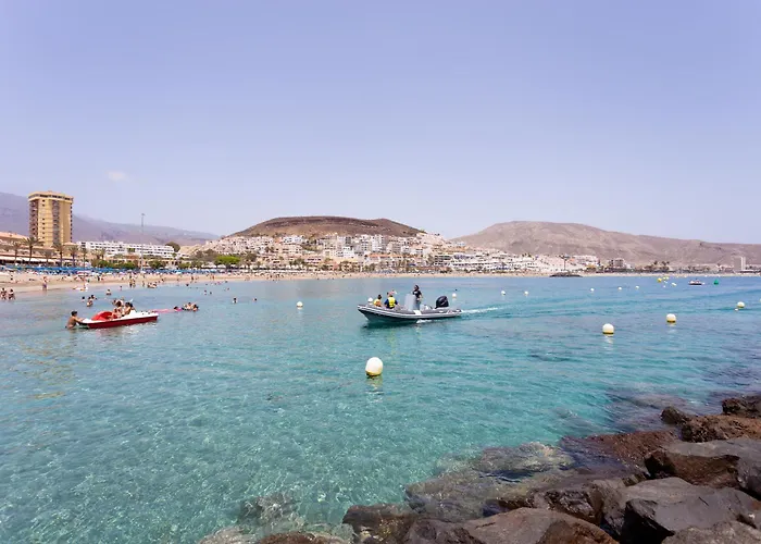 Buho Cristianos * Los Cristianos (Tenerife)