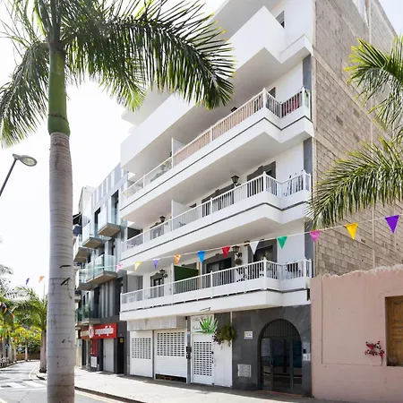 Buho Cristianos * Los Cristianos (Tenerife)