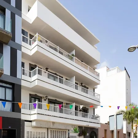 Buho Los Cristianos Daire