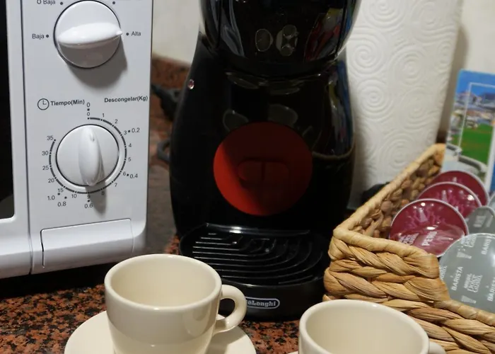 Buho Cristianos Los Cristianos (Tenerife)