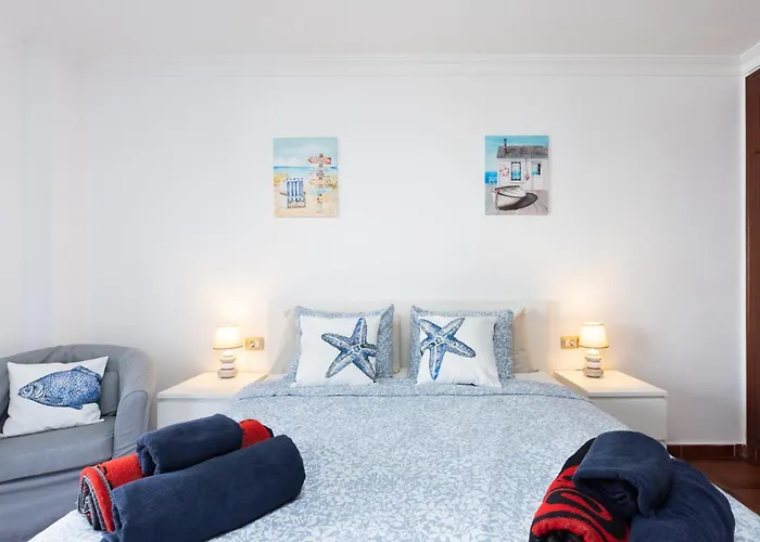 Buho Cristianos Los Cristianos (Tenerife)