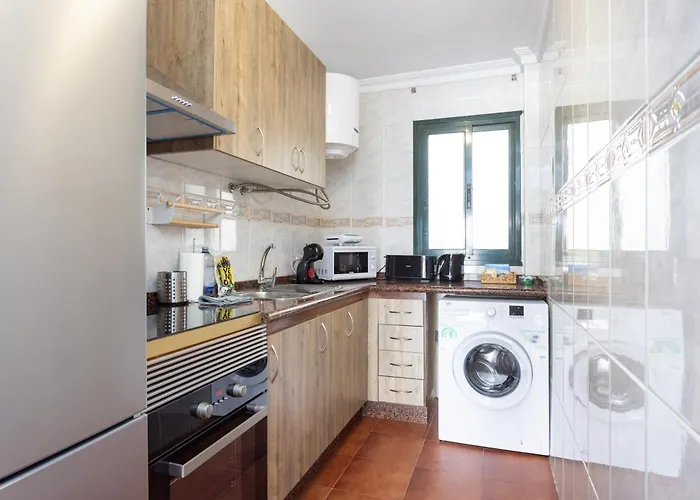 Buho Cristianos * Los Cristianos (Tenerife)